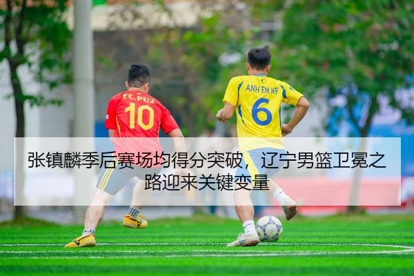 张镇麟季后赛场均得分突破，辽宁男篮卫冕之路迎来关键变量